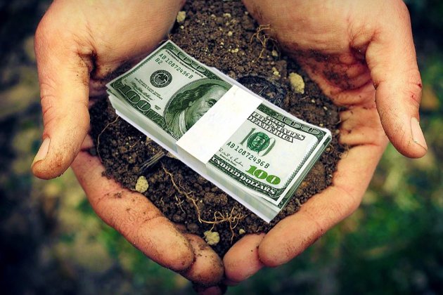 Референдум щодо продажу землі іноземцям проведуть протягом найближчих 3 років — міністр 