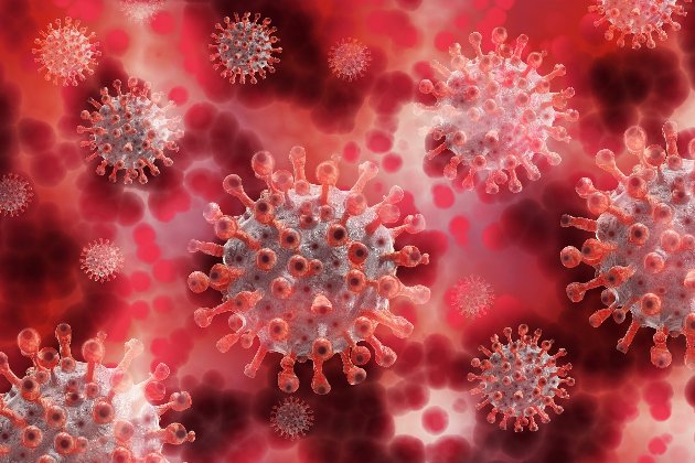 Хвороба наступає. «Британський» вид коронавірусу вже наблизився до України