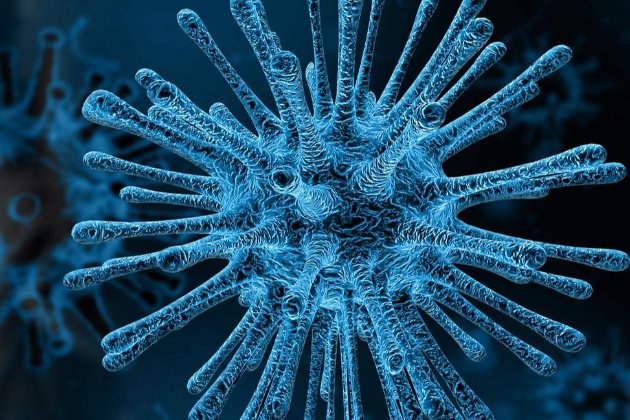 У країні-сусідці України виявили новий штам коронавірусу 