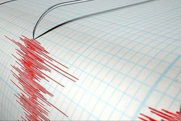 На Закарпатті зафіксували землетрус магнітудою 3,8