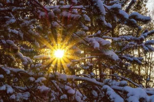 Останній місяць зими: якою погодою здивує українців лютий