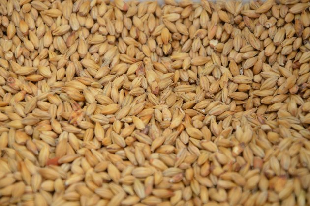 У Польщі заявили, що Єврокомісія відмовилася повертати мито на українське зерно