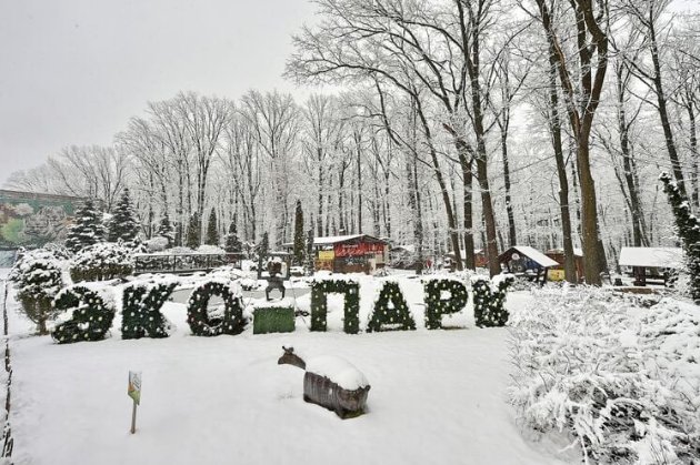 У «Фельдман екопарк» поблизу Харкова влучила російська авіабомба