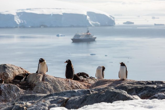 В Україні вперше відкрили лабораторію полярної біології: чому це важливо