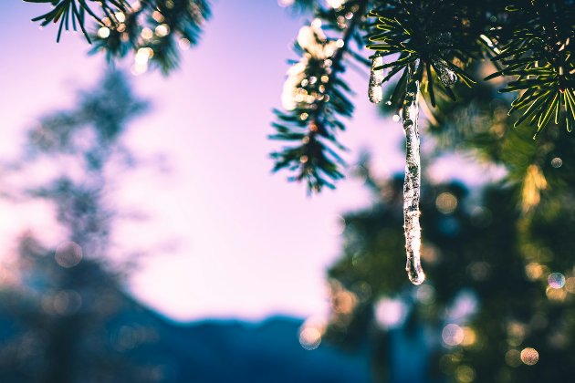 Церковний календар на лютий 2026 року: головні свята