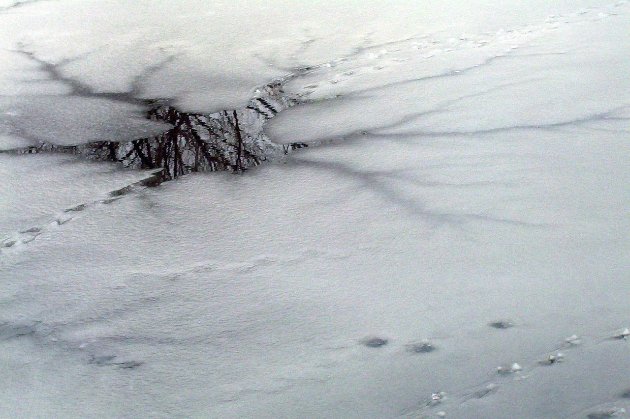 Де у Києві можна купатися на Водохреще 2026: список локацій