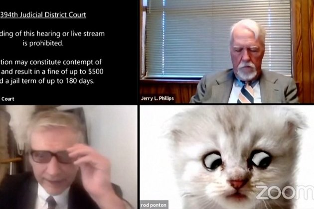 «Я — не кіт!». Юрист з'явився на онлайн-засідання суду з увімкненим фільтром (відео)