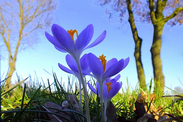 1 березня 2026 року — яке сьогодні свято та які пам’ятні події сталися цього дня