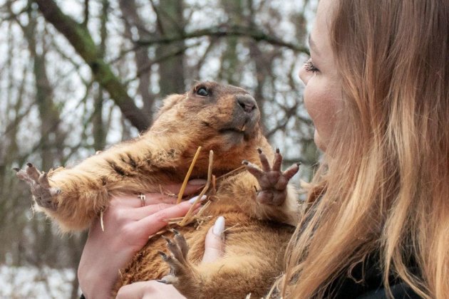 Бабак Тимко спрогнозував, коли у 2026 році в Україну прийде весна