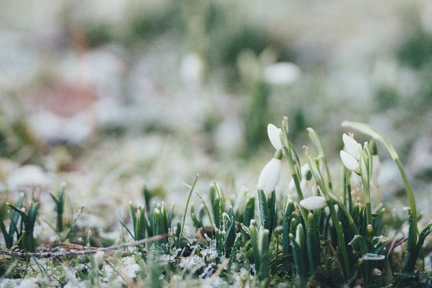 Церковний календар на березень 2026 року: головні свята