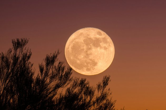 Новий і повний Місяць у березні 2026: місячний календар