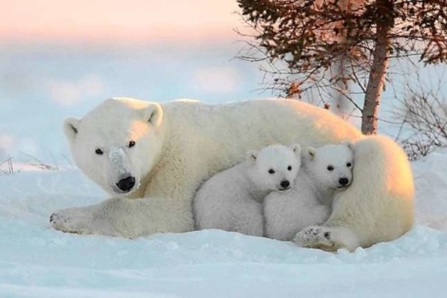 27 лютого 2026 року — яке сьогодні свято та які пам’ятні події сталися цього дня