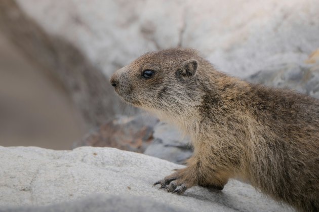 2 лютого 2026 року — яке сьогодні свято та які пам’ятні події сталися цього дня