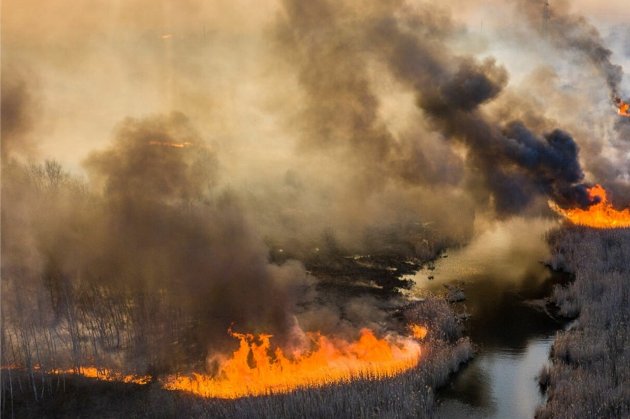 У Чорнобильські зоні ліси вже не палають — МВС