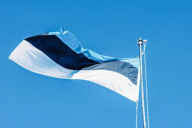Парламент Естонії закликав країни ООН встановити над Україною безпольотну зону