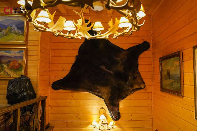 Роги оленів, шкури ведмедів та хутро лисиці — резиденція Медведчука на Закарпатті (фото)