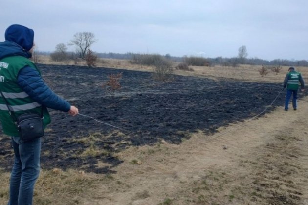 Пожежа в екопарку «Осокорки» знищила 10,4 га рослинності