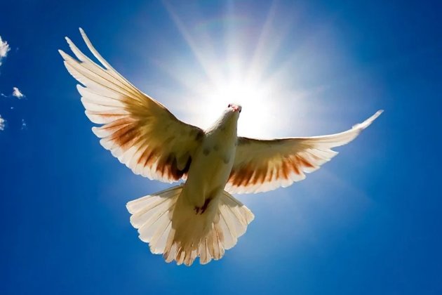 Найкращі привітання з Благовіщенням: у віршах, прозі та листівках