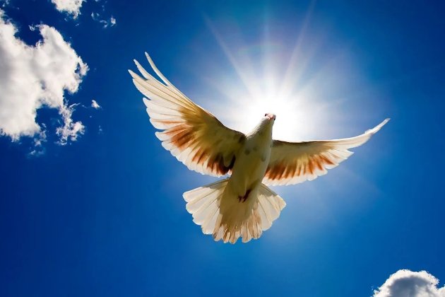 25 березня 2026 року — яке сьогодні свято та які пам’ятні події сталися цього дня