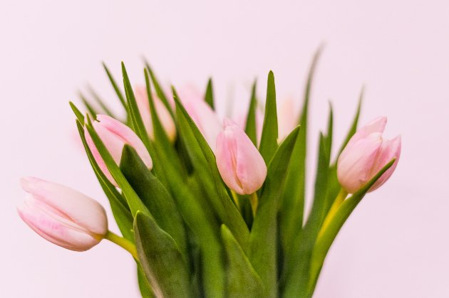 8 березня 2026 року — яке сьогодні свято та які пам’ятні події сталися цього дня