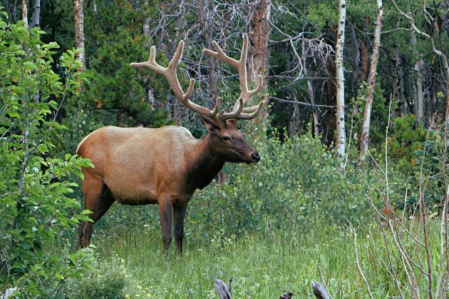 3 березня 2026 року — яке сьогодні свято та які пам’ятні події сталися цього дня
