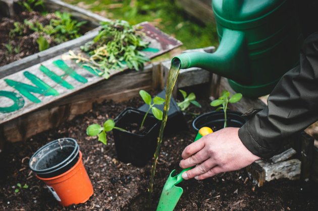 Місячний посівний календар на квітень 2026 року: що і коли сіяти, щоб отримати великий урожай