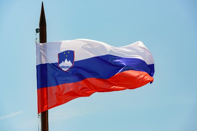 Співзасновник Monobank перепросив за поширення фото клієнтки: переплутав прапори рф і Словенії