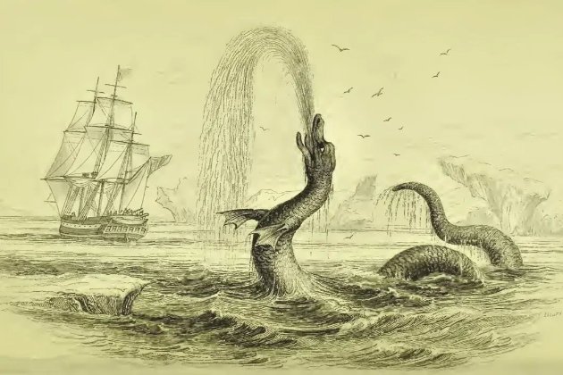 Люди минулого могли плутати пеніси китів із морськими чудовиськами