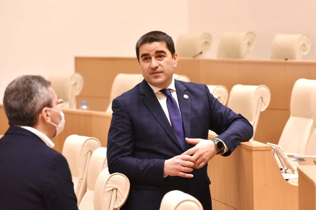 До Києва прибули дві грузинські делегації: від влади та опозиції