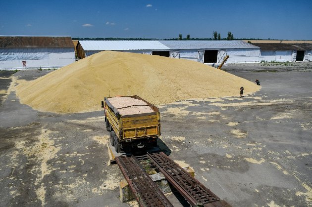 Заборона імпорту українського зерна до Польщі та Угорщини: з'явився коментар Єврокомісії