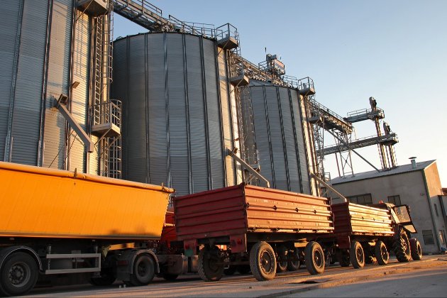 Словаччина призупиняє імпорт українського зерна, — прем’єр