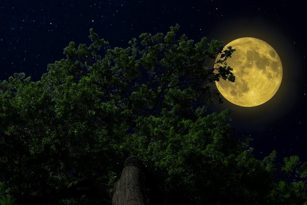 Місячний календар на травень 2023: коли новий і повний Місяць