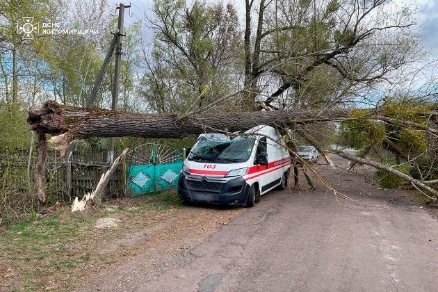 Розтрощена «швидка» та завалені дороги: у ДСНС показали наслідки сильного вітру (фото)