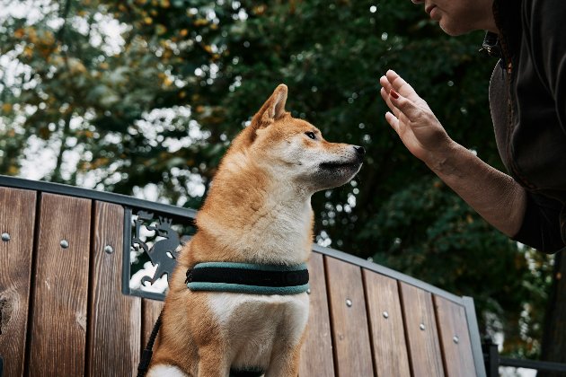 2 квітня 2026 року — яке сьогодні свято та які пам’ятні події сталися цього дня