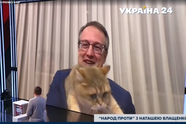 Кіт Геращенка вийшов із дому у прямий ефір на телебаченні 