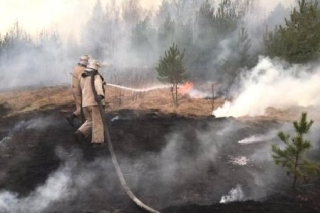 До Києва може дійти дим через пожежі у Чорнобильській зоні 
