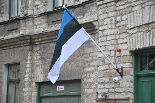 Естонія допоможе Україні відновити Житомирську область — глава МЗС