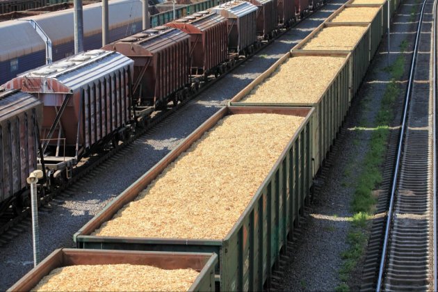 Євросоюз запровадив «заборонні» мита на зерно з росії та Білорусі