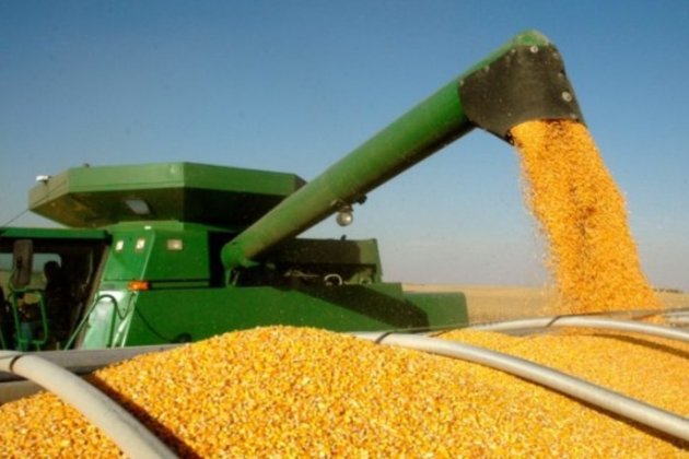 СБУ викрила схему вимагання грошей з експортерів зерна за кордон 