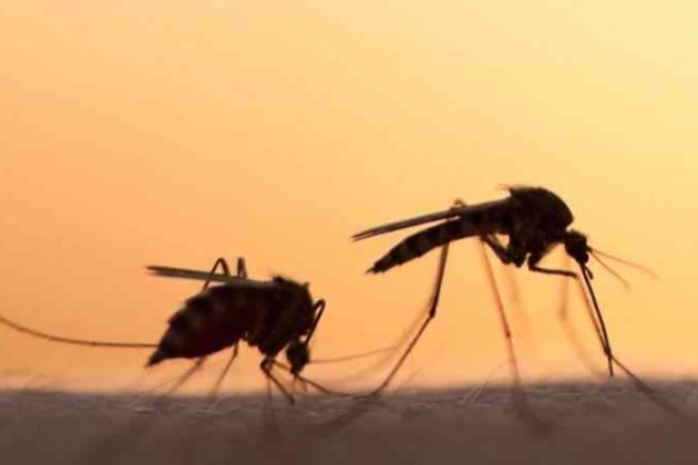 США розробляє дрон для комарів, які переносять малярію, гепатит та ВІЛ: новий російський фейк 