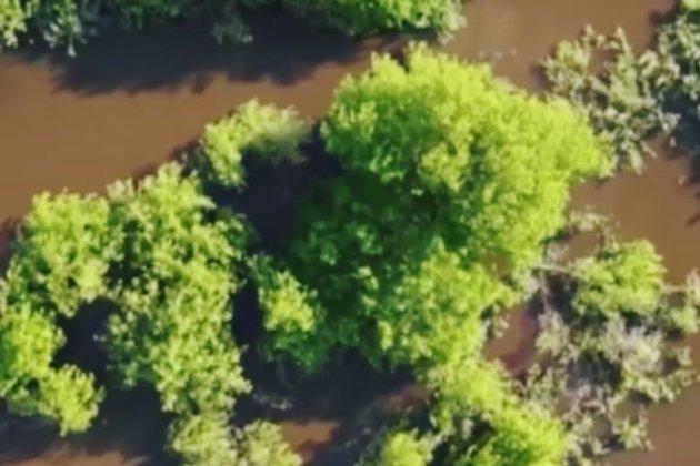 СБУ перехопила розмову окупантів, які потрапили під обстріл ударного дрона (відео) 
