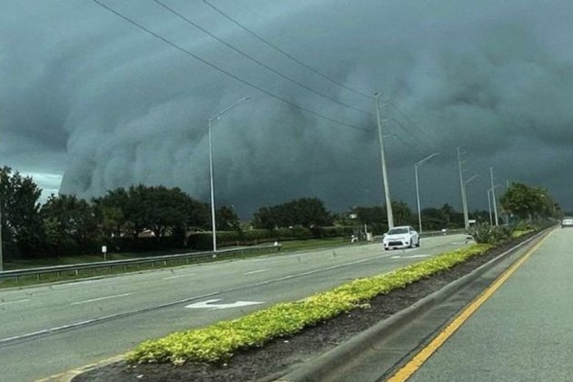 Тропічний шторм Ельза охопив Флориду, є жертва 