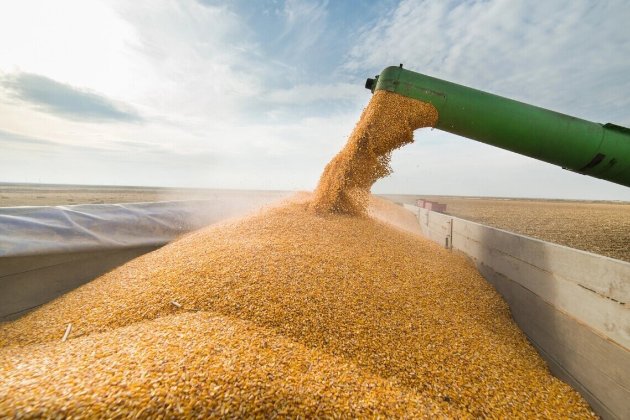 У Туреччині назвали терміни запуску коридору для перевезення зерна з України