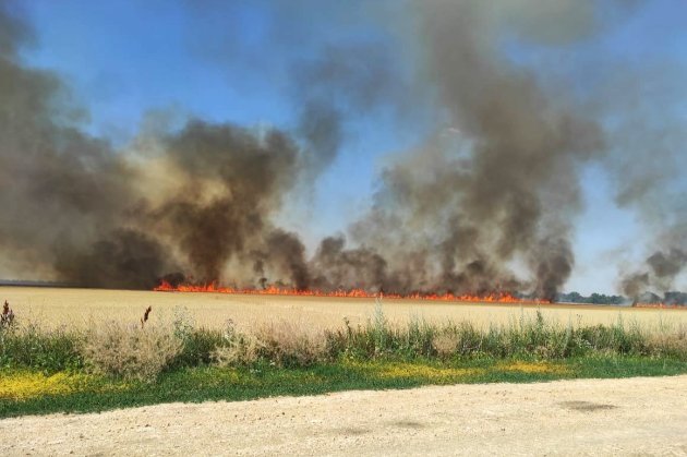 Російські військові цілеспрямовано знищують поля врожаю на Херсонщині (фото)