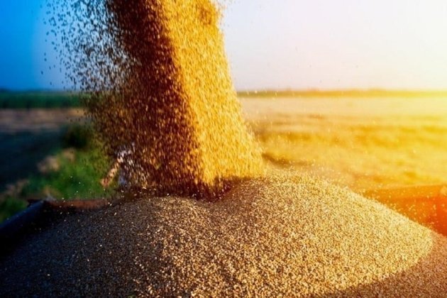 У США працюватимуть з партнерами, щоб змусити рф виконувати зернову угоду — Держдеп 