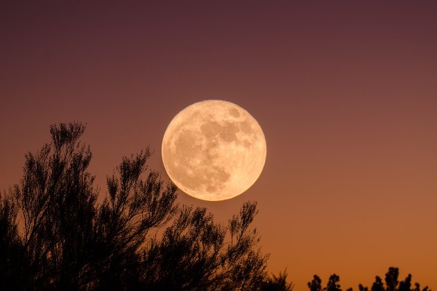 Місячний календар на серпень 2023: коли новий і повний Місяць