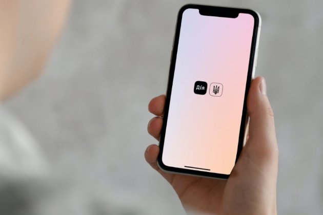 У Мінцифри пояснили, коли в «Дії» з'являться штрафи за несвоєчасне оновлення даних