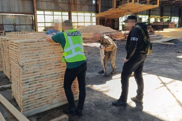 На Житомирщині лісові посадовці завдали збитків на 23 млн грн