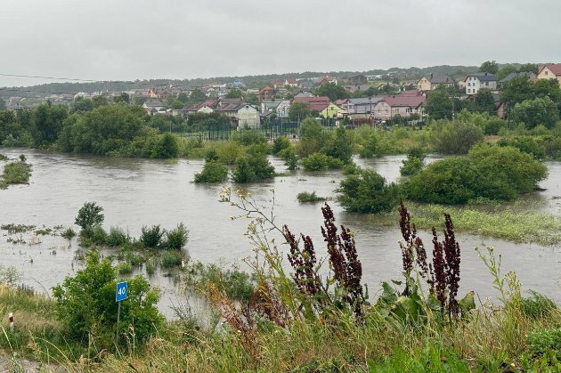 Через сильні дощі у деяких районах Львові затопило вулиці (фото, відео)
