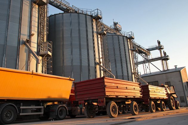 Польща з 15 вересня продовжить заборону на імпорт українського зерна — міністр